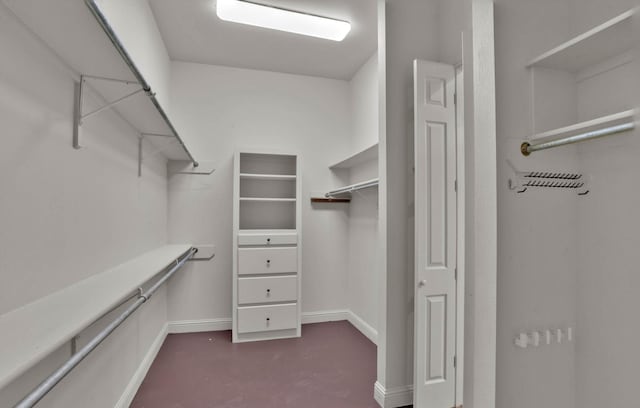 view of spacious closet