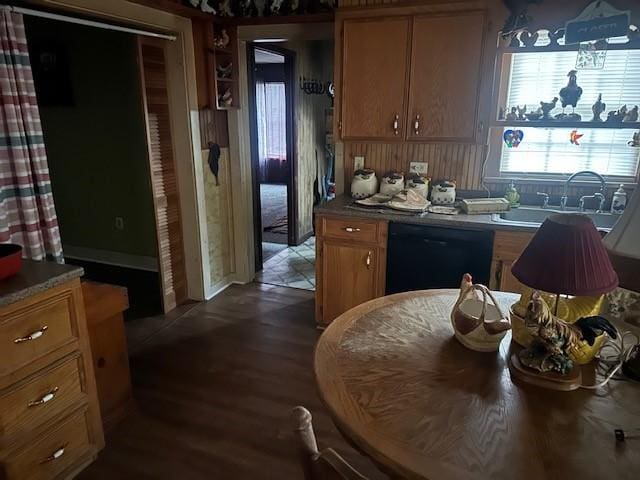 kitchen featuring black dishwasher, sink, and dark wood-type flooring