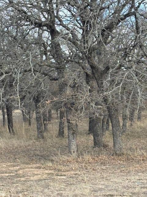 TBD Sugartree Cir, Lipan TX, 76462 land for sale