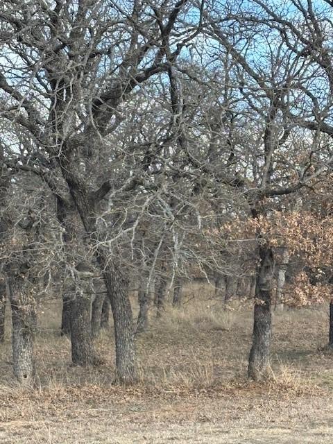 Listing photo 2 for TBD Sugartree Cir, Lipan TX 76462