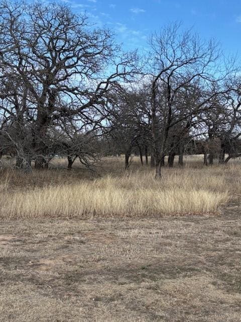 Listing photo 3 for TBD Sugartree Cir, Lipan TX 76462