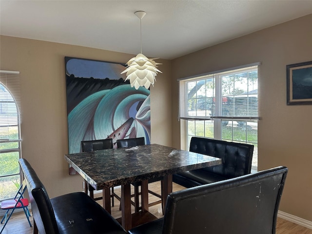 dining space featuring hardwood / wood-style floors