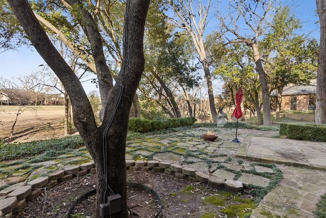 view of yard featuring a patio