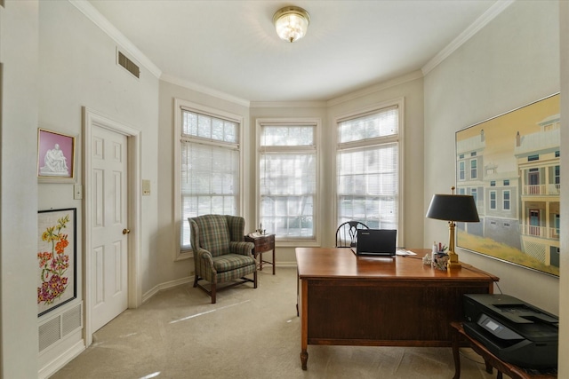 carpeted office space featuring crown molding and a wealth of natural light