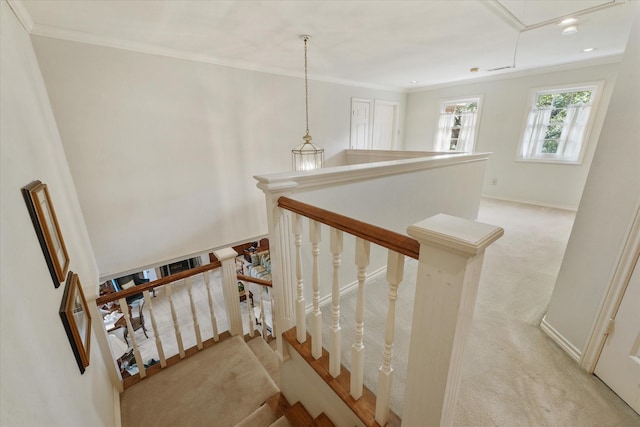 stairway featuring crown molding and carpet floors