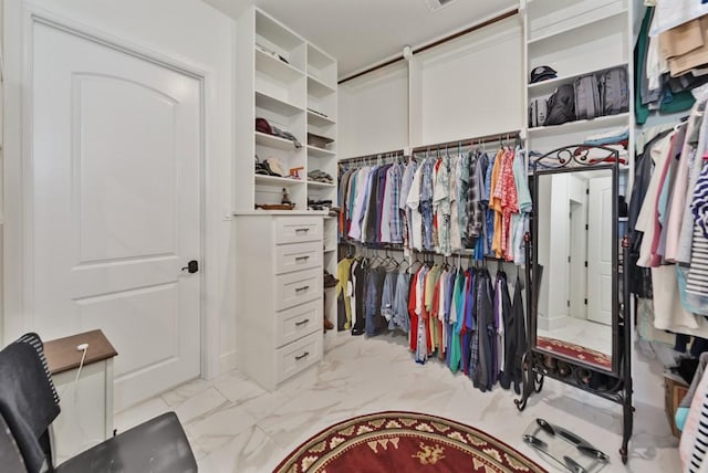 view of walk in closet