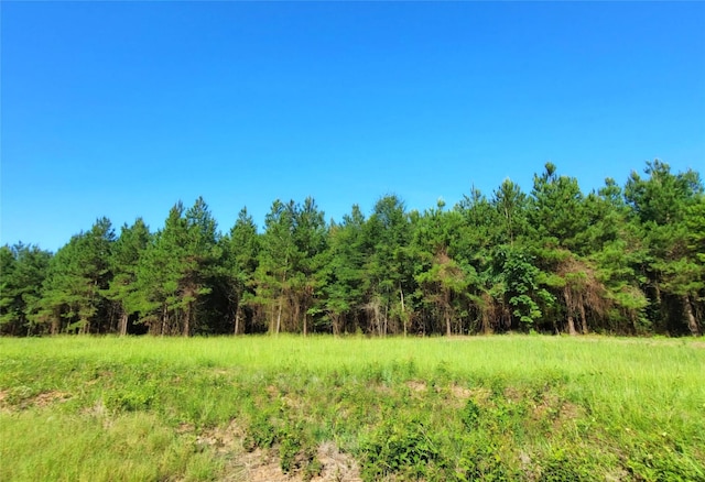 000 Jessie Latin Rd, Gloster LA, 71030 land for sale