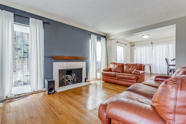 living room with wood-type flooring, ornamental molding, and a textured ceiling