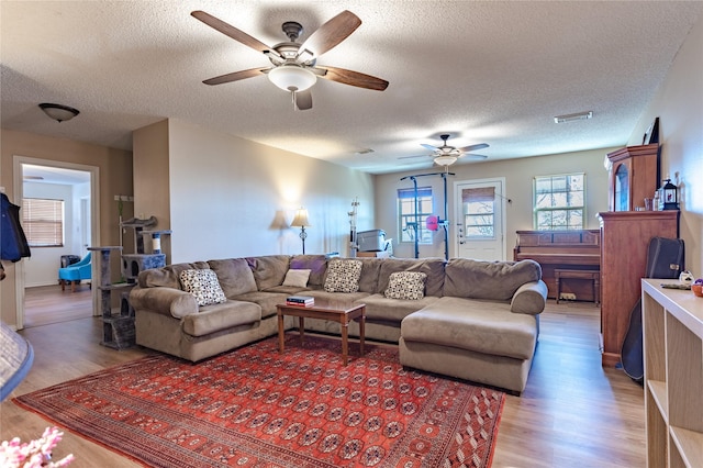 living room with wood-type flooring, ceiling fan, and a textured ceiling