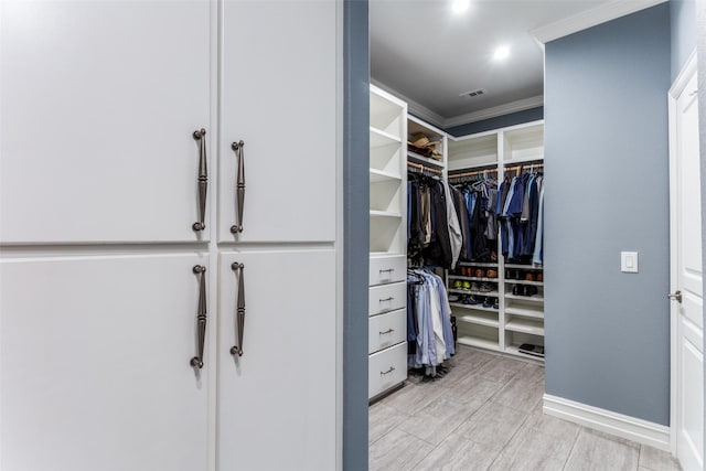 view of spacious closet