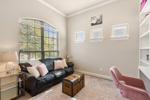 living room featuring ornamental molding