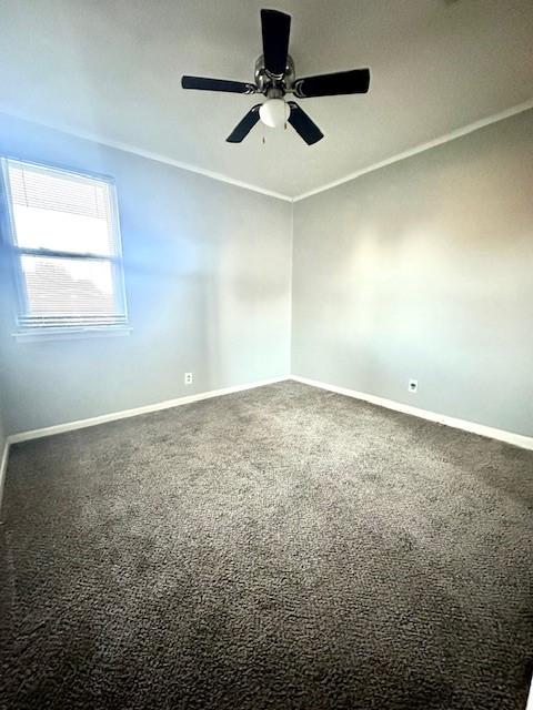 carpeted spare room featuring crown molding and ceiling fan