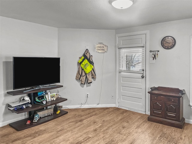 living room featuring light wood-type flooring