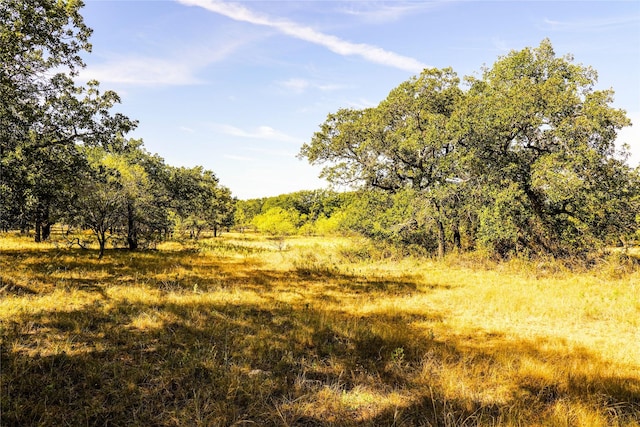 91.55ACRES Hammon Ln, Jacksboro TX, 76458 land for sale