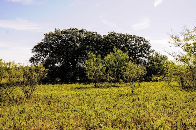 Listing photo 3 for 91.55ACRES Hammon Ln, Jacksboro TX 76458