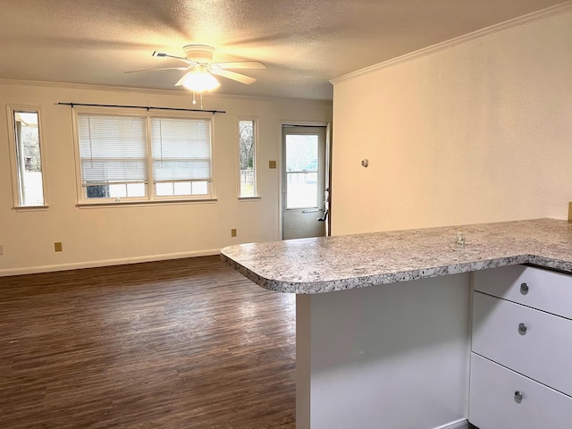 kitchen featuring dark hardwood / wood-style flooring, ceiling fan, kitchen peninsula, crown molding, and a textured ceiling