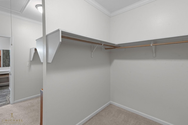 walk in closet featuring light colored carpet