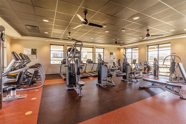 gym featuring a drop ceiling and ceiling fan