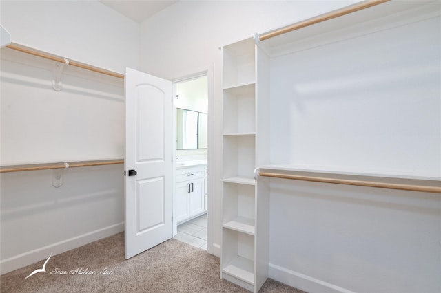 walk in closet with light carpet