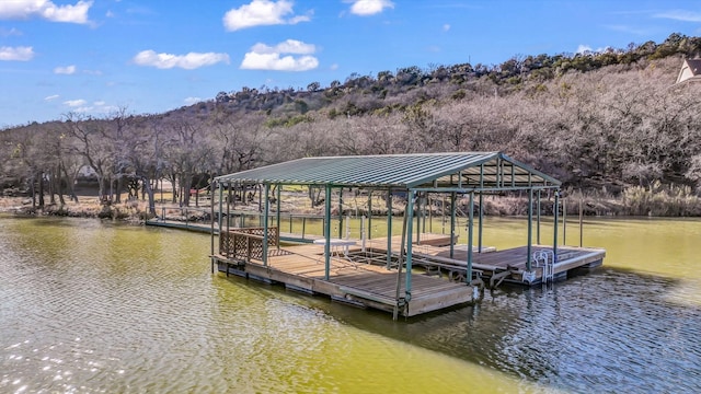 dock area with a water view