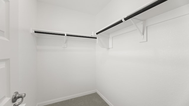 spacious closet with carpet