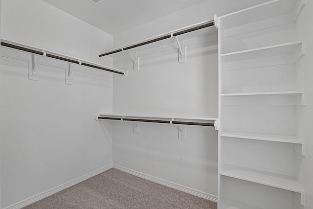 walk in closet with light carpet