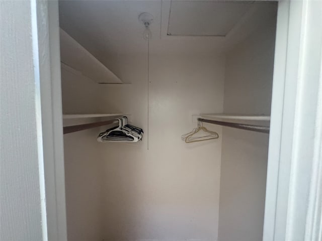 view of spacious closet