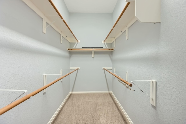 spacious closet featuring carpet