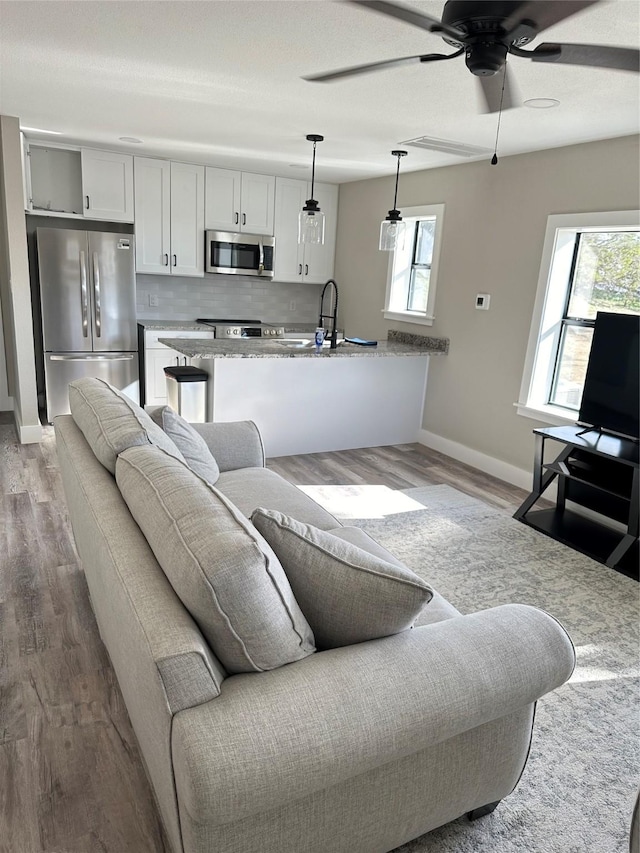 living room featuring ceiling fan and wood-type flooring