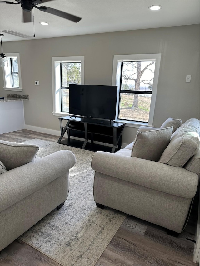 living room with hardwood / wood-style flooring and plenty of natural light