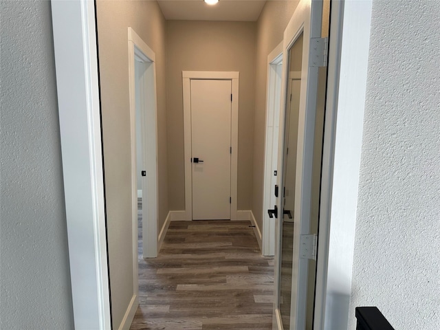 corridor featuring dark wood-type flooring