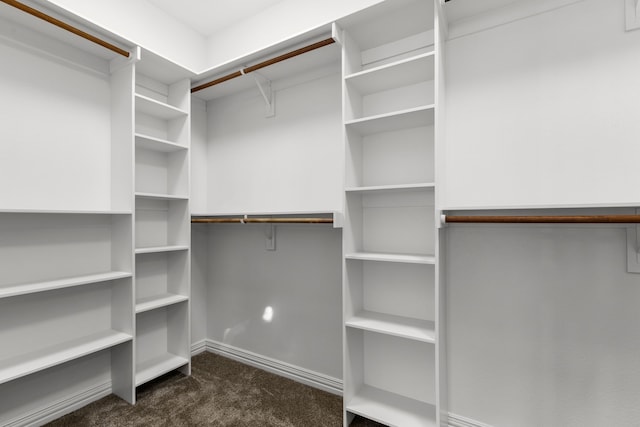 spacious closet featuring dark colored carpet