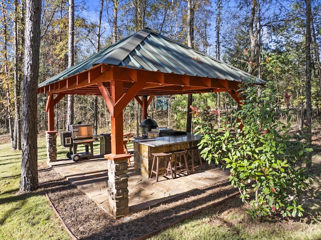 view of community with a patio, exterior bar, and area for grilling