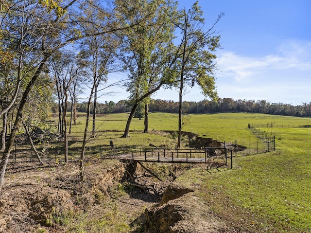 view of yard with a rural view