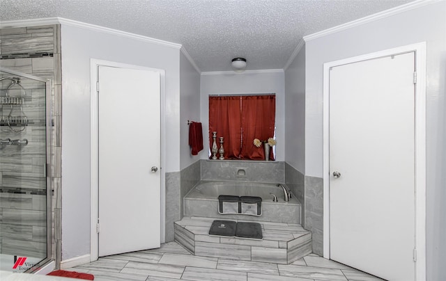 kitchen with crown molding and a textured ceiling