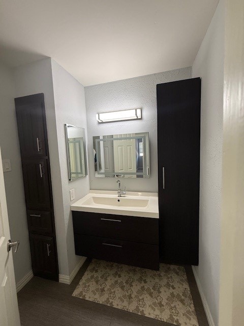 bathroom featuring vanity and hardwood / wood-style floors