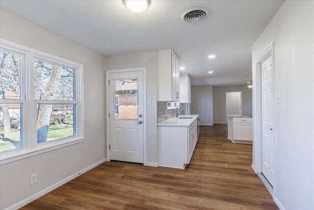 kitchen with white cabinetry, dark hardwood / wood-style flooring, sink, and decorative backsplash