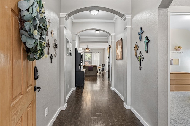 corridor featuring crown molding and dark wood-type flooring