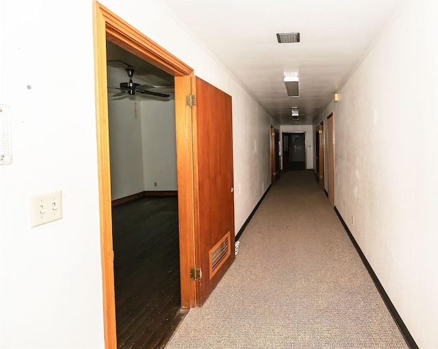 hall featuring carpet floors and ornamental molding