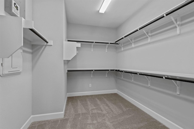 spacious closet featuring light carpet