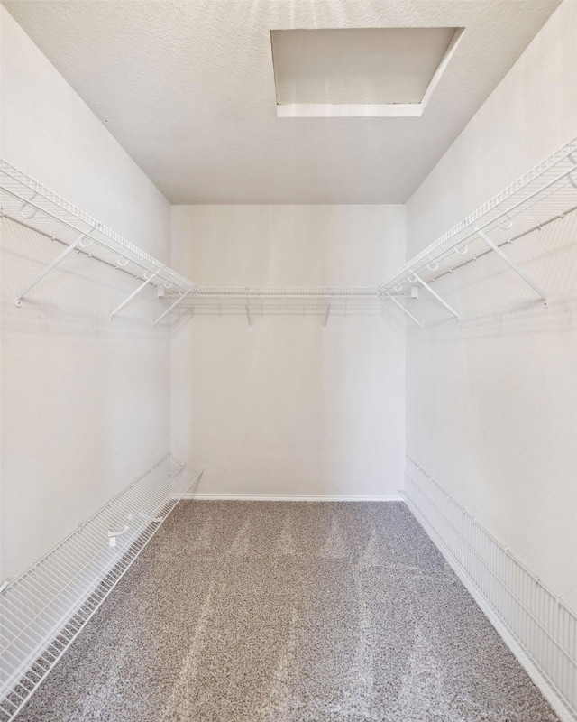 walk in closet featuring carpet floors