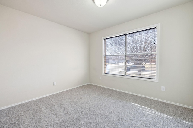 spare room with carpet flooring