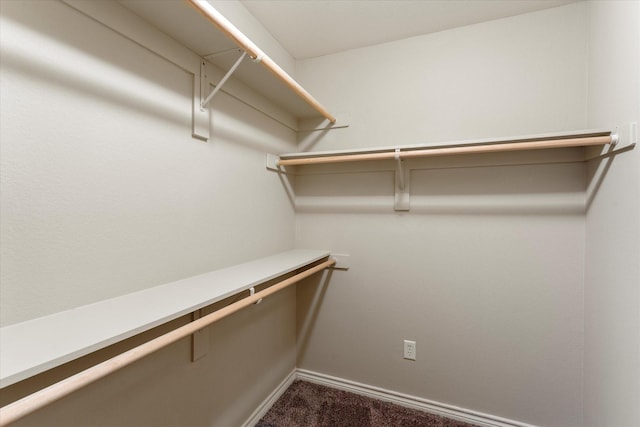 spacious closet featuring dark colored carpet