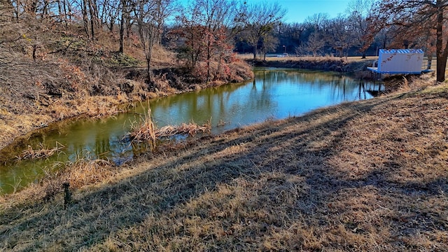 view of water feature