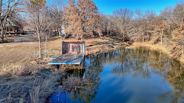 dock area featuring a water view