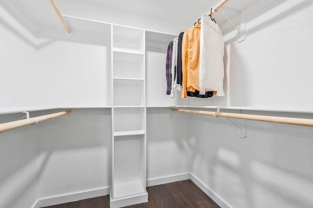 spacious closet with dark wood-type flooring