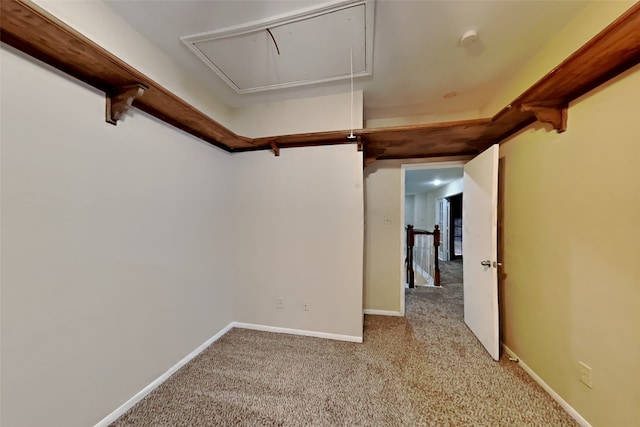 walk in closet with light carpet