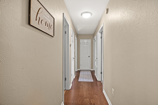 hallway featuring wood-type flooring