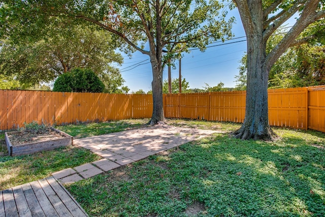 view of yard featuring a patio area