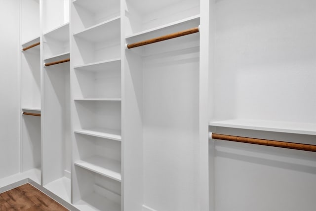 spacious closet with wood-type flooring